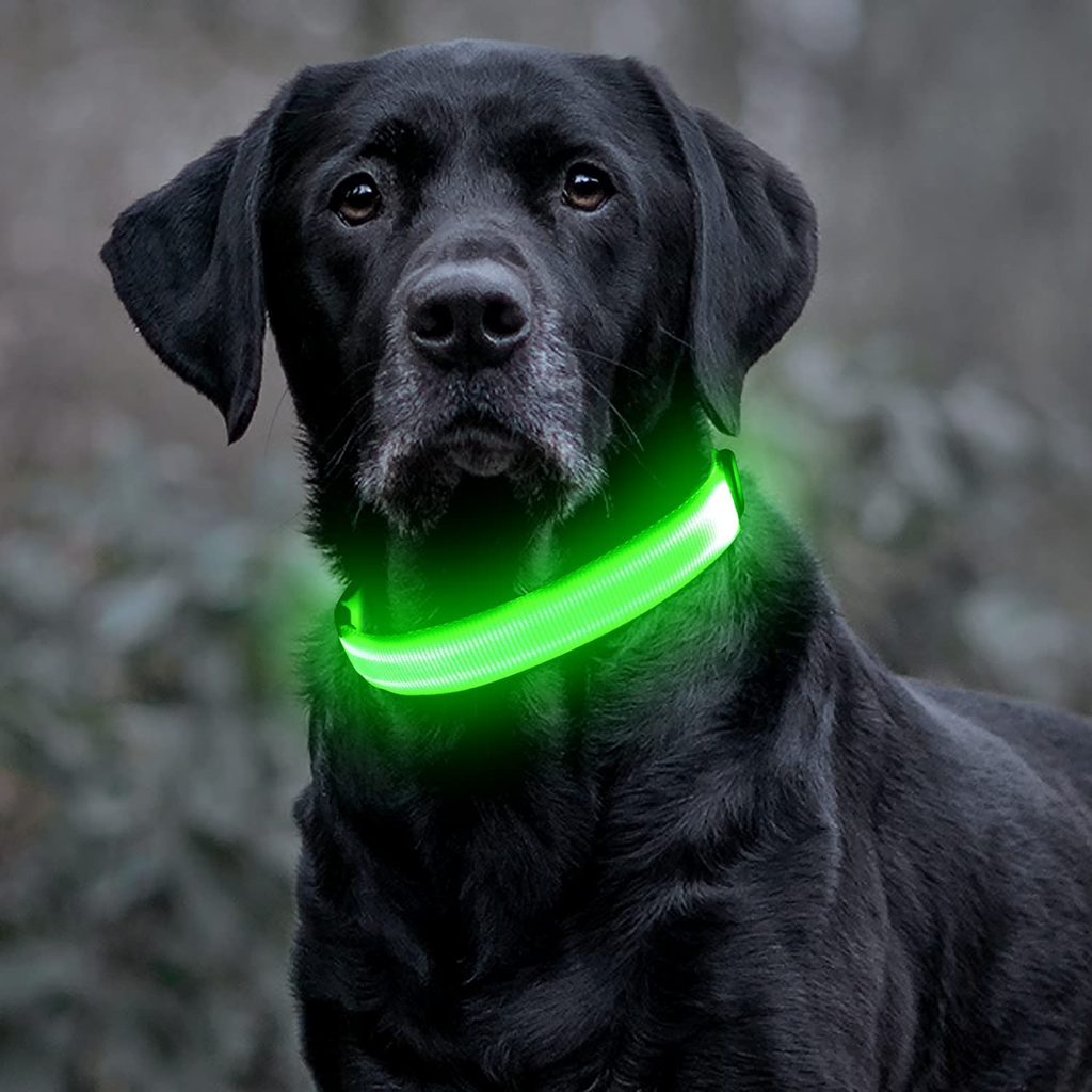 GlowSafe LED Dog Collar USB Rechargeable High Visibility