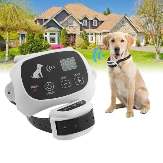 SafeZone Wireless Dog Fence System Rechargeable Waterproof Collar