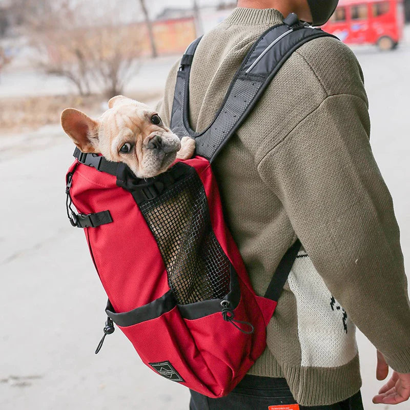 Norvo Multifunctional Dog Backpack for Medium Dogs