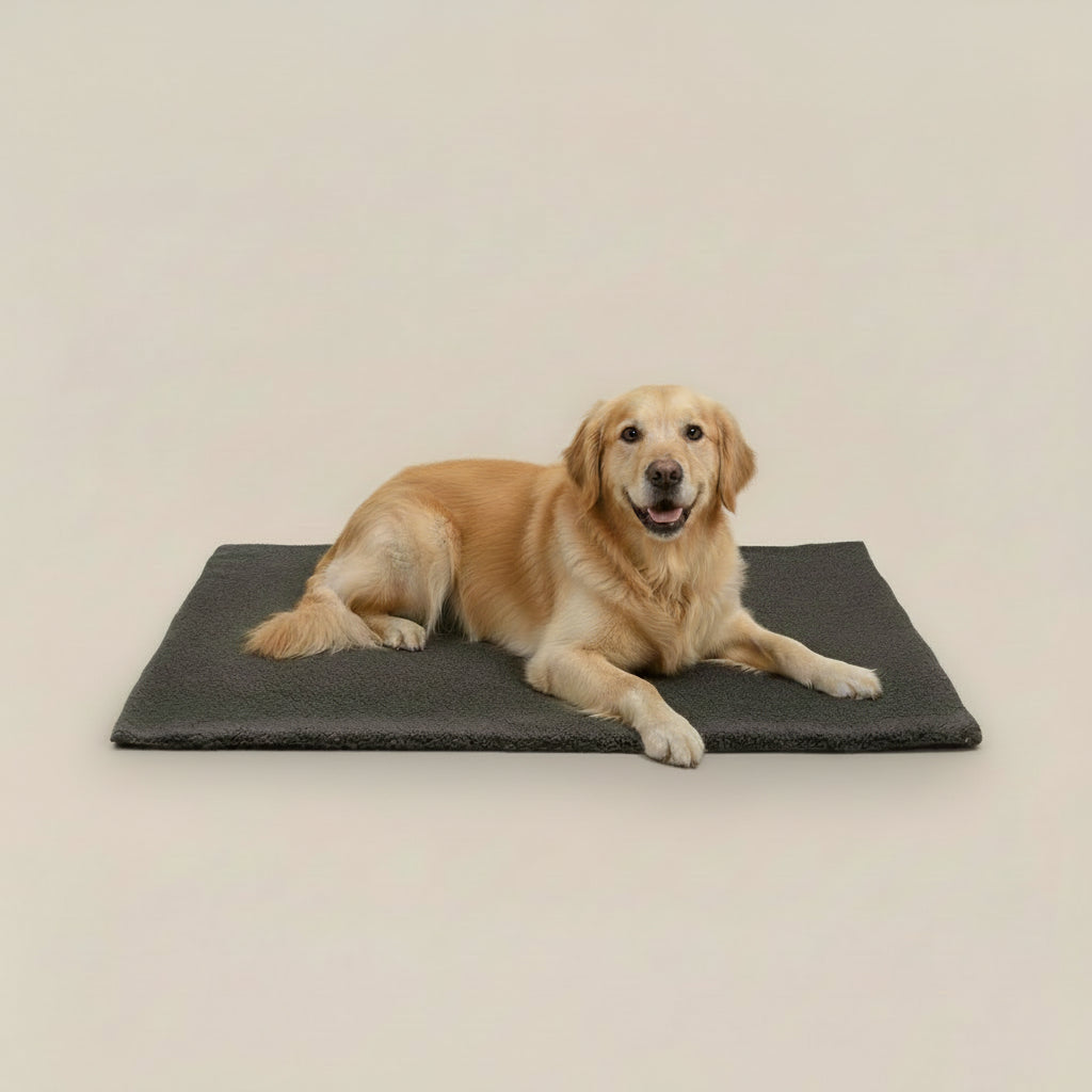 ThermoNest Self-Heating Dog Mat