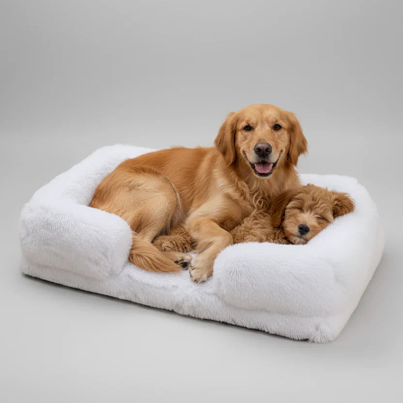 ComfortRest Dog Bed Soft