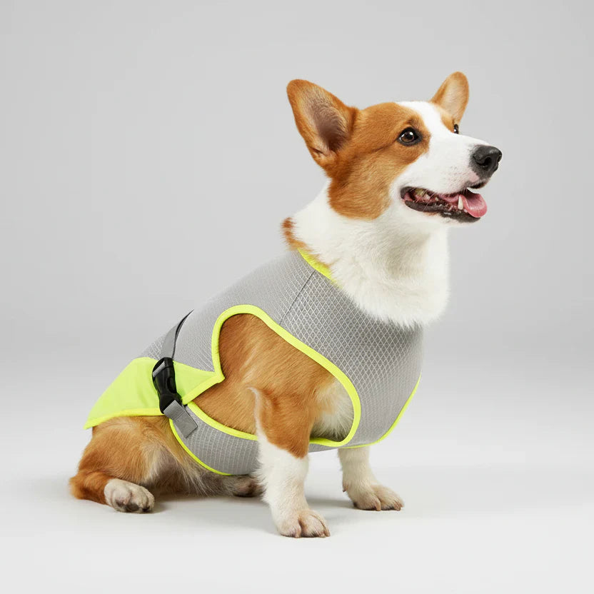 CoolGuard Dog Cooling Vest Harness