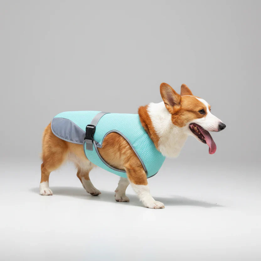 CoolGuard Dog Cooling Vest Harness