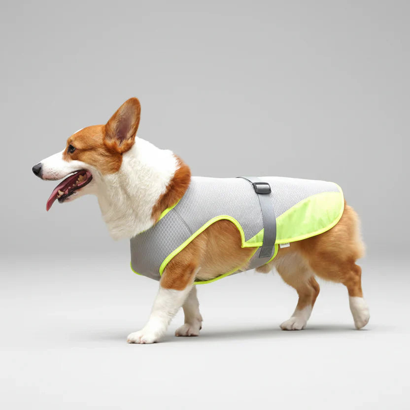 CoolGuard Dog Cooling Vest Harness