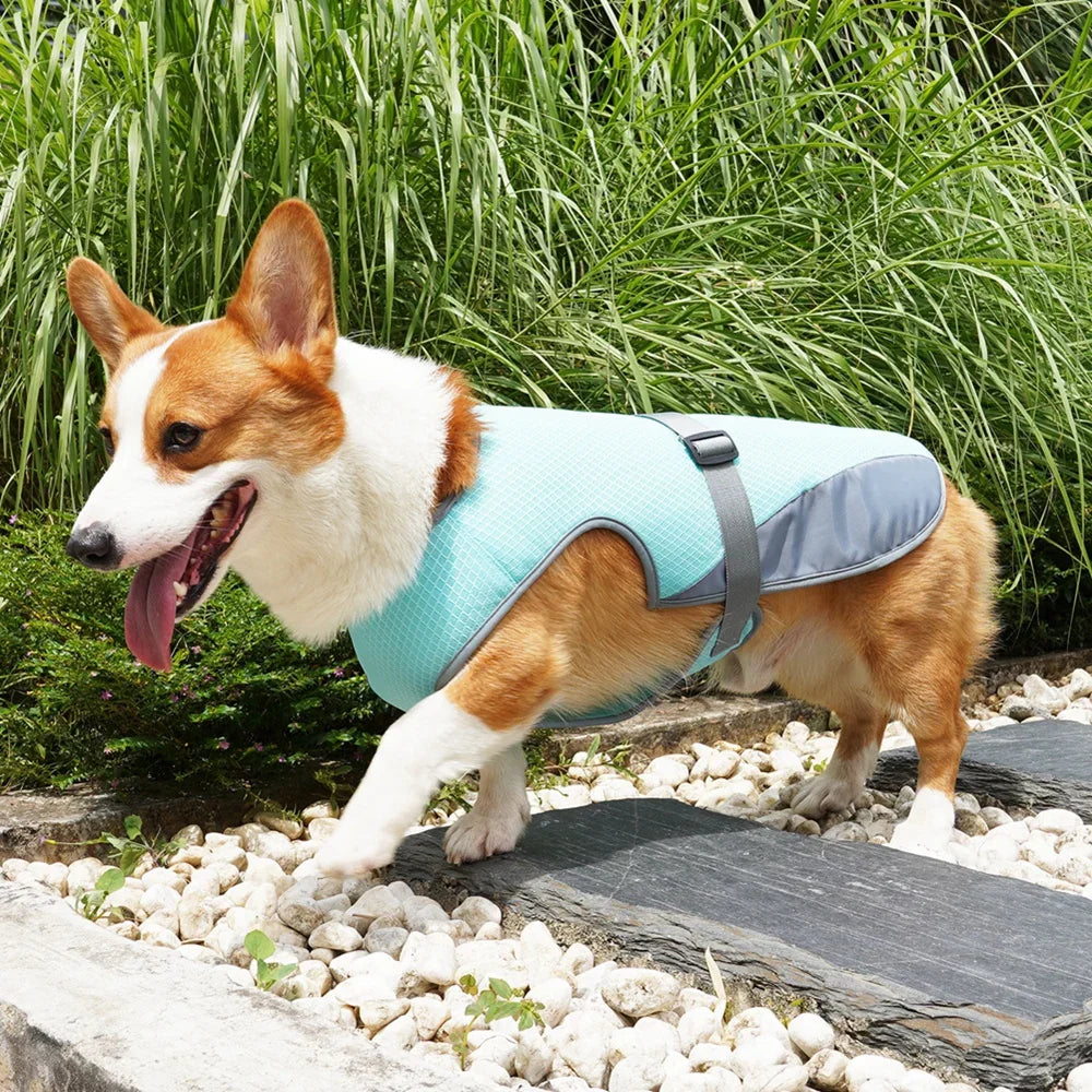 CoolGuard Dog Cooling Vest Harness