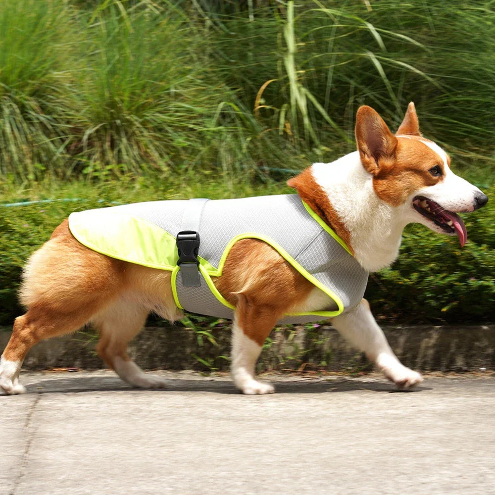 CoolGuard Dog Cooling Vest Harness