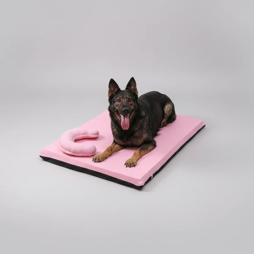 DualComfort Dog Bed Cooling & Warm