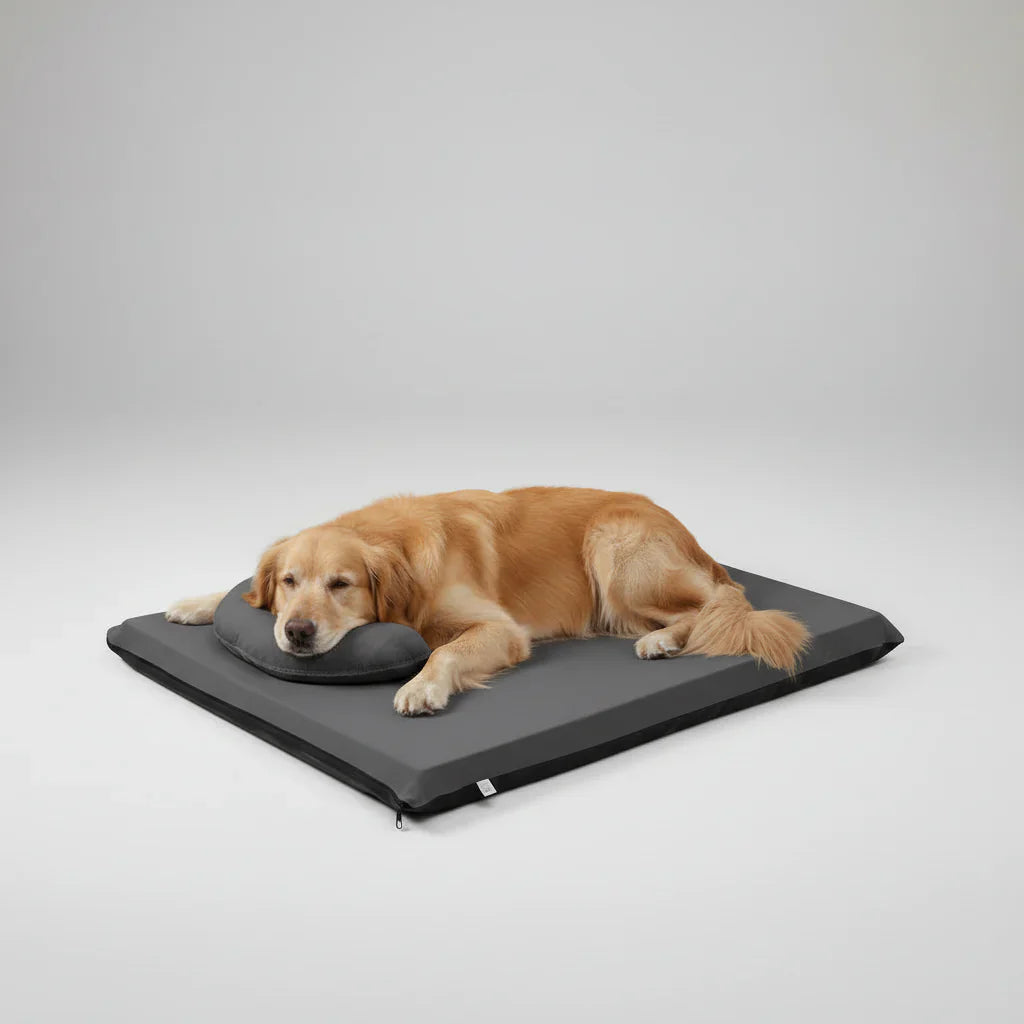 DualComfort Dog Bed Cooling & Warm