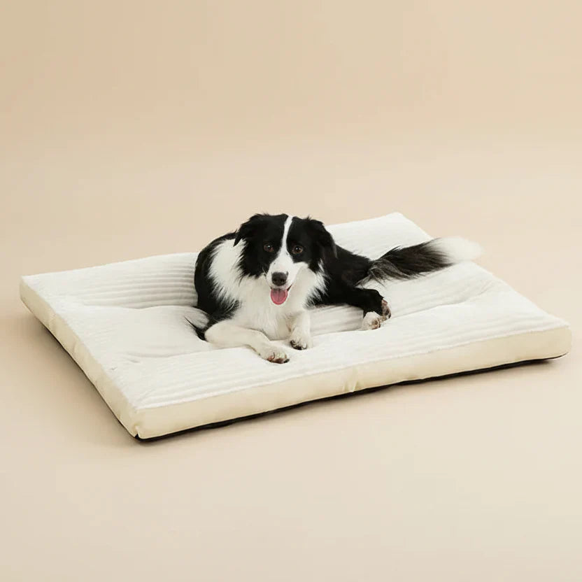 OrComfort Cotton Dog Bed with Support