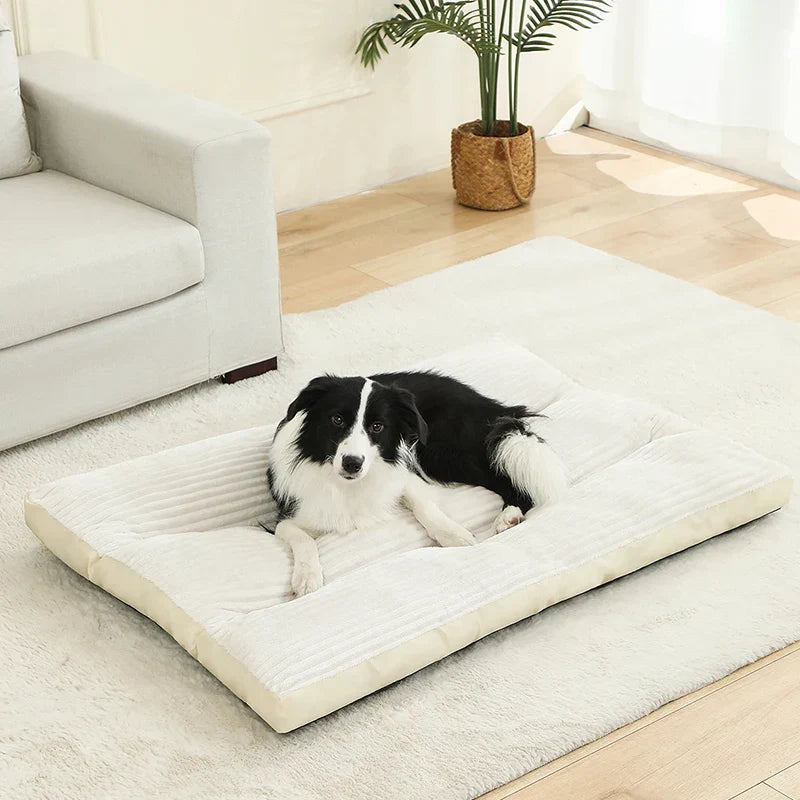 OrComfort Cotton Dog Bed with Support