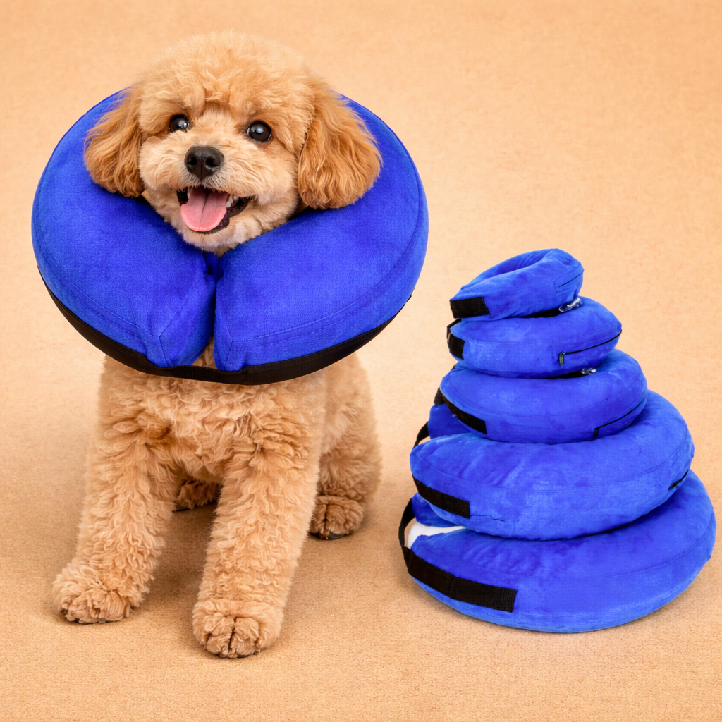 Inflatable Dog Recovery Collar Adjustable and Lightweight