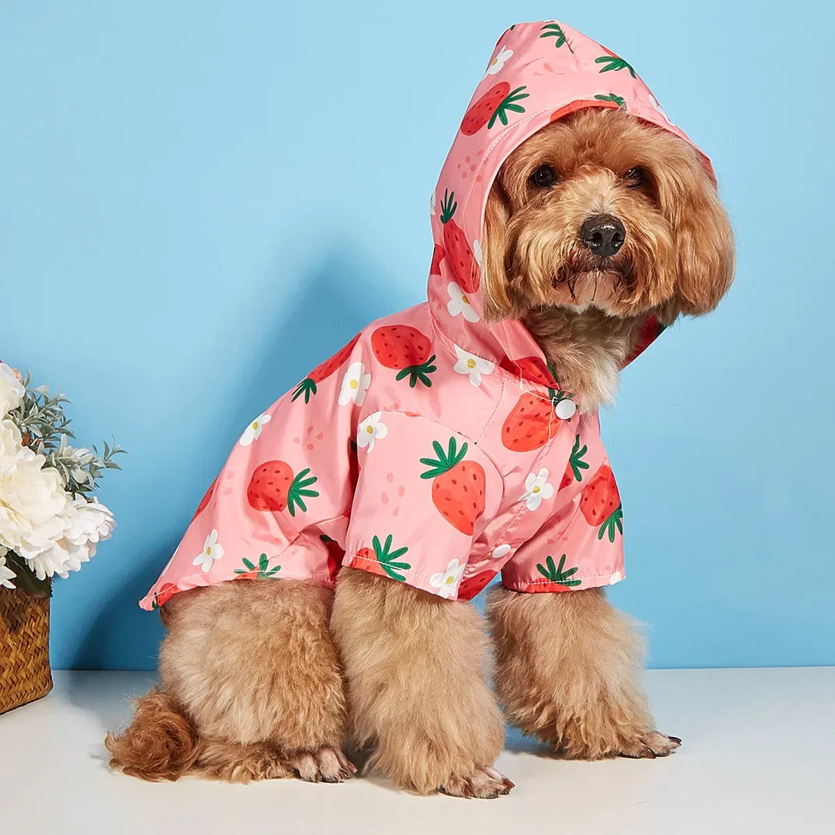 BerryGuard Dog Raincoat Waterproof