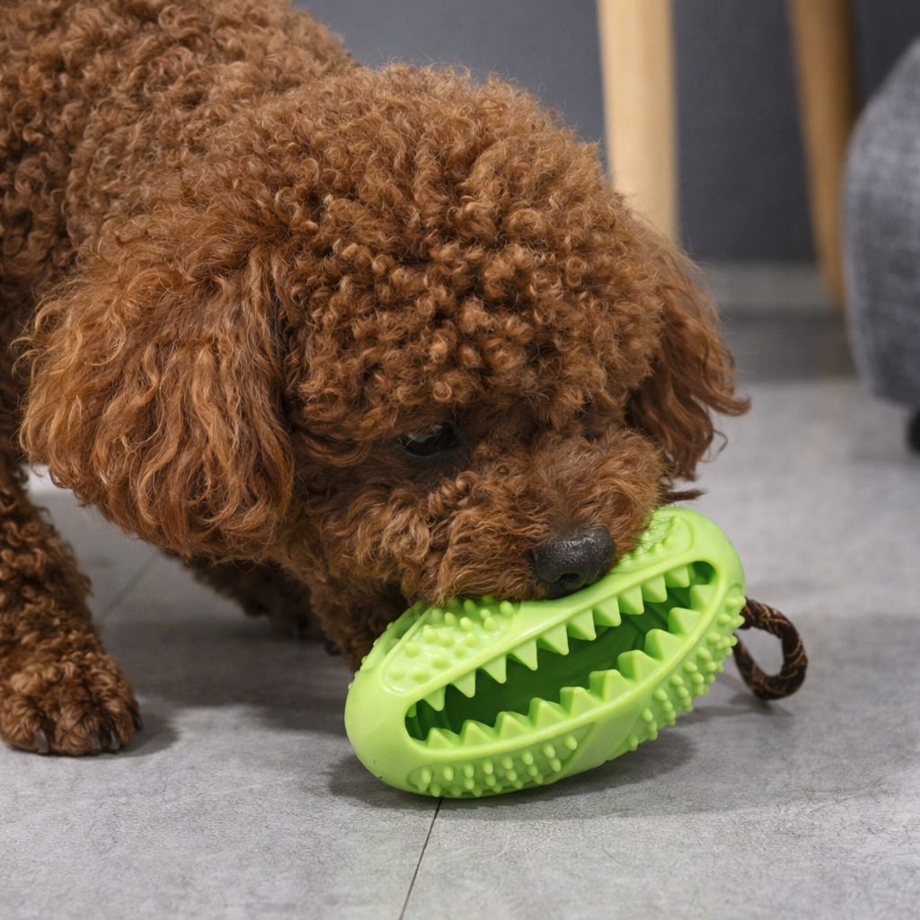 Dog Dental Chew Toy with Treat Dispenser and Rope