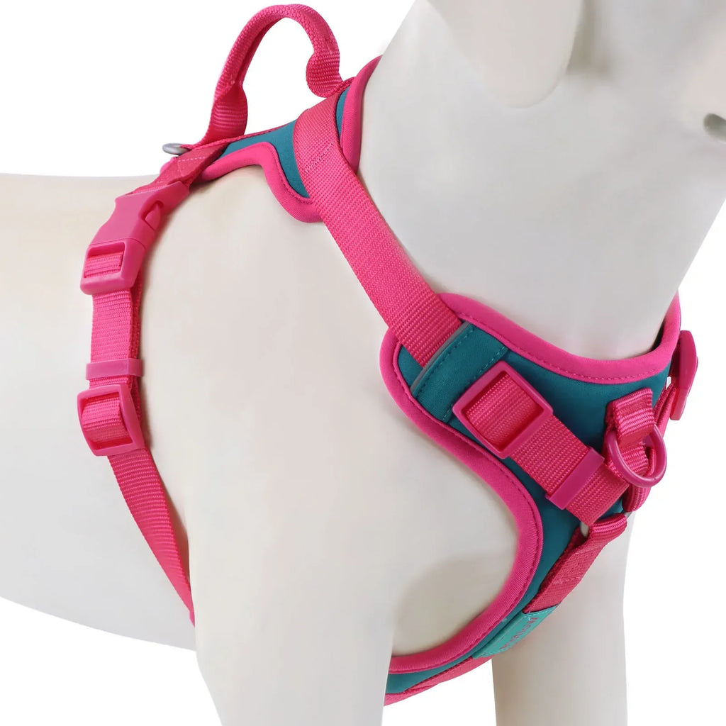HueHarness Adjustable No-Pull Dog Harness