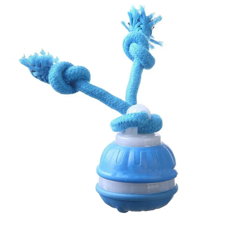 MotionRoll Interactive Dog Play Ball