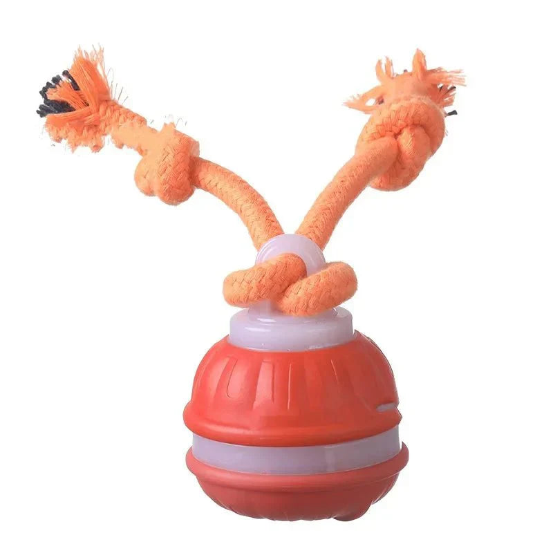 MotionRoll Interactive Dog Play Ball