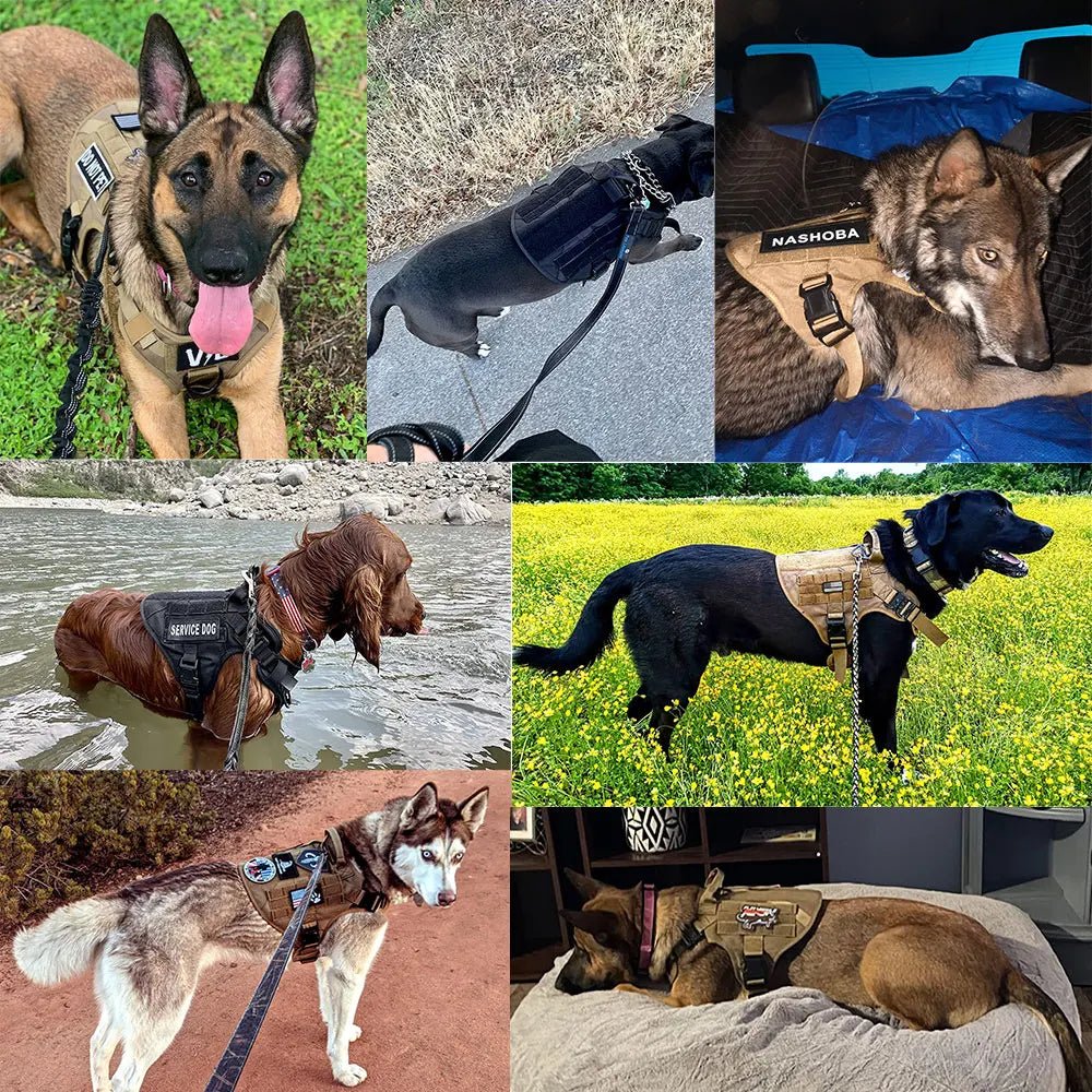 TrailForce Tactical Dog Harness