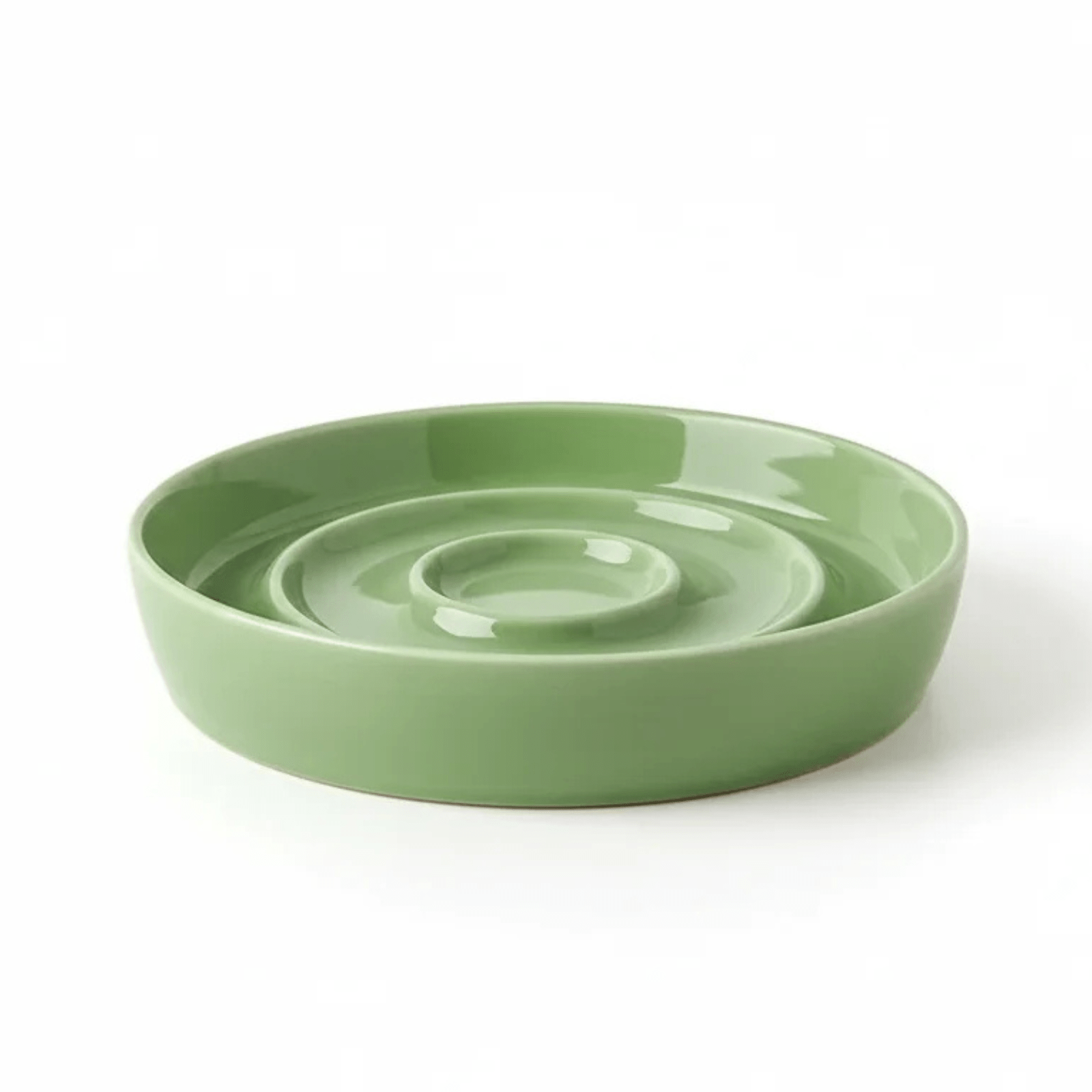 SlowBite Ceramic Pet Feeding Bowl