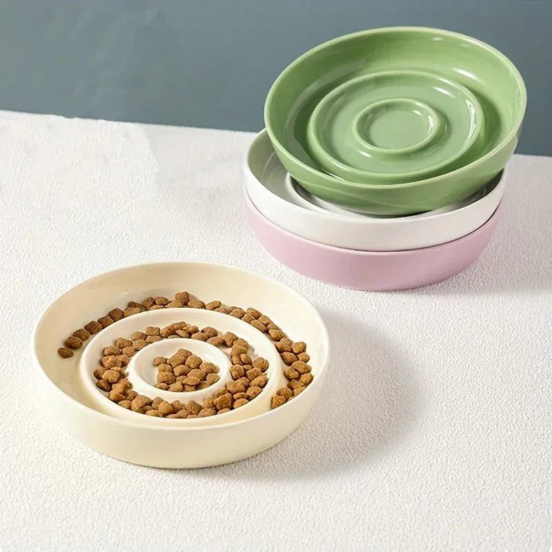 SlowBite Ceramic Pet Feeding Bowl