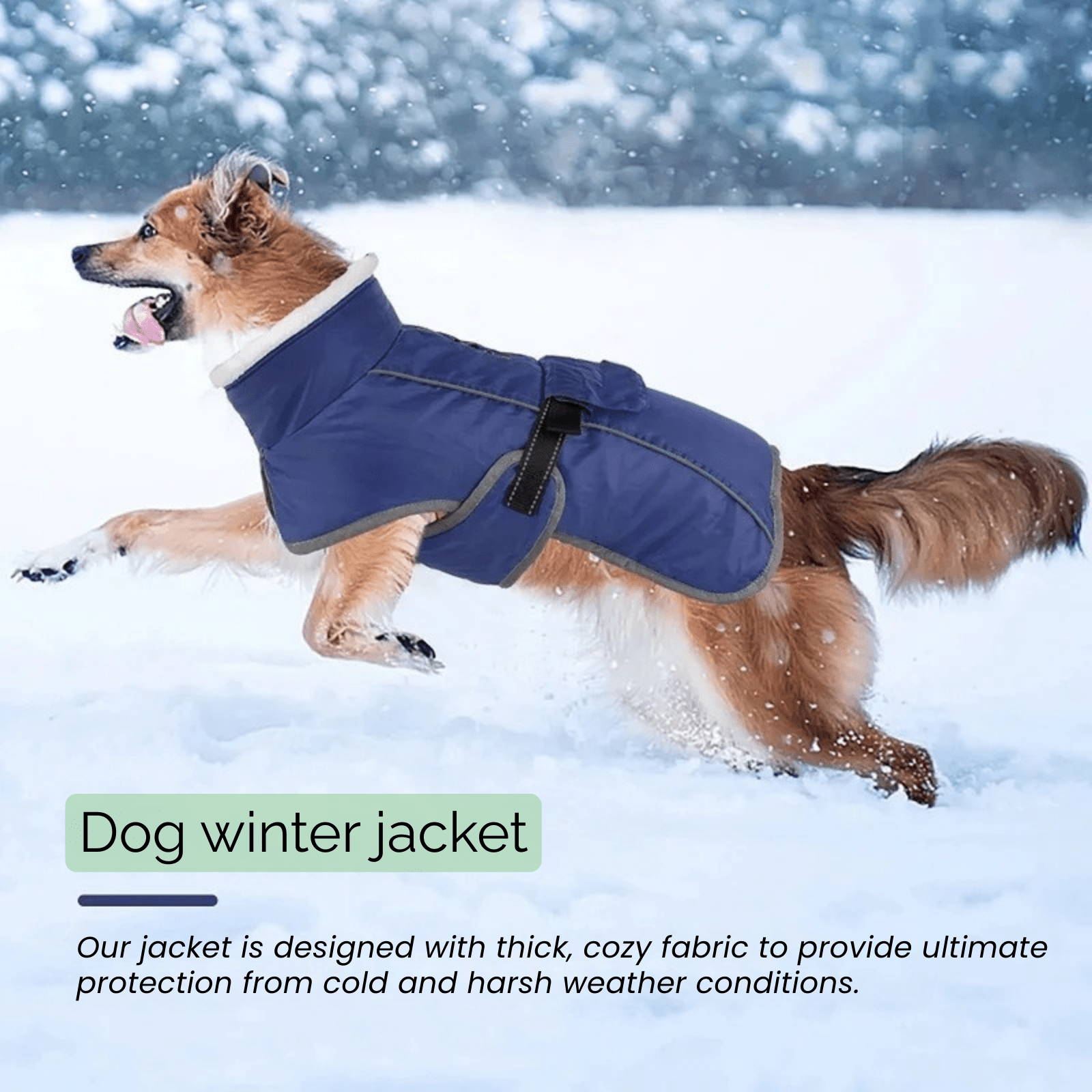 ArcticShield Reflective Dog Winter Jacket