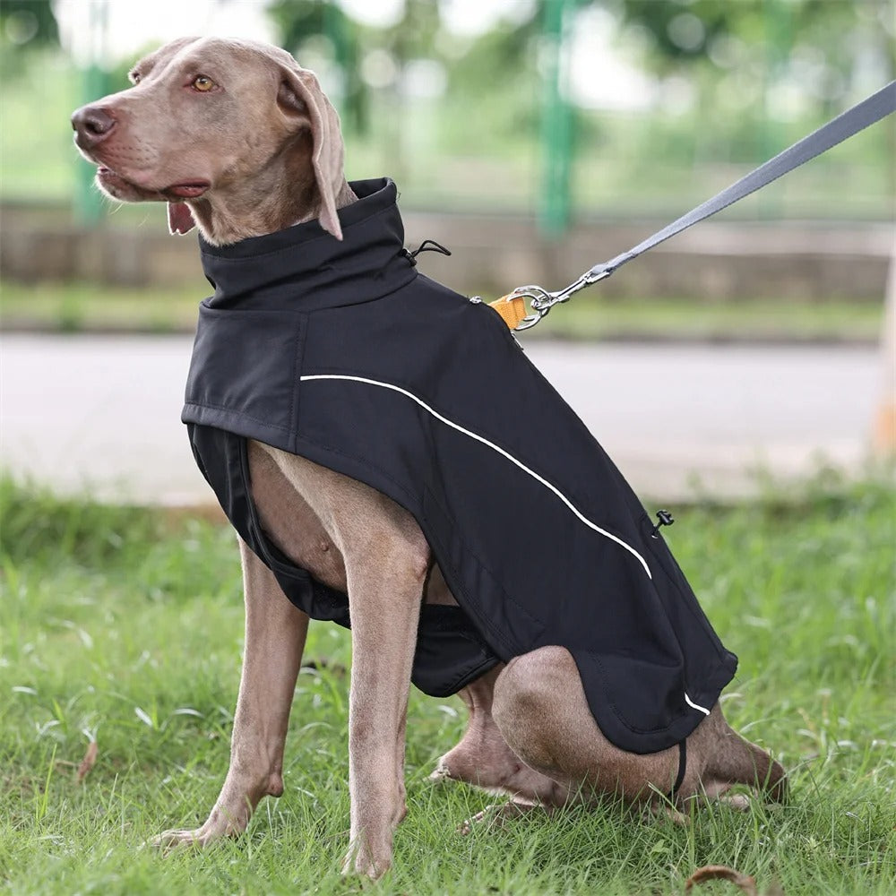 ShieldShell Waterproof Dog Winter Jacket