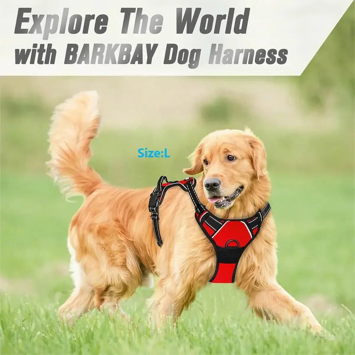 ControlFlex No Pull Dog Harness