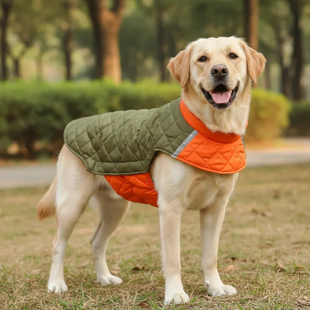 WinterSnug Waterproof Dog Jacket