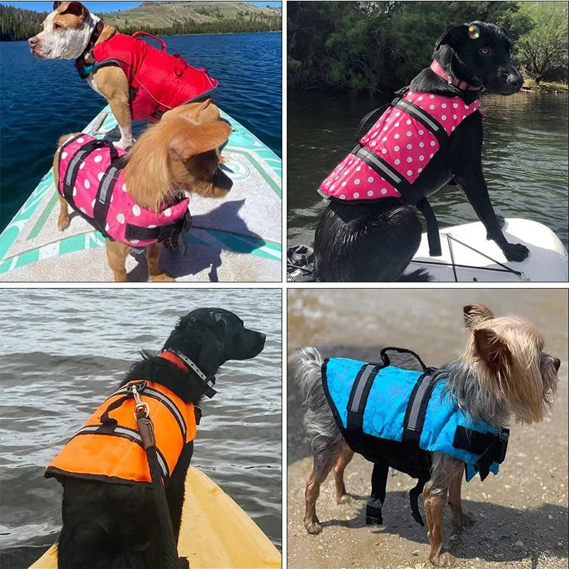 AquaGuard Reflective Dog Life Jacket