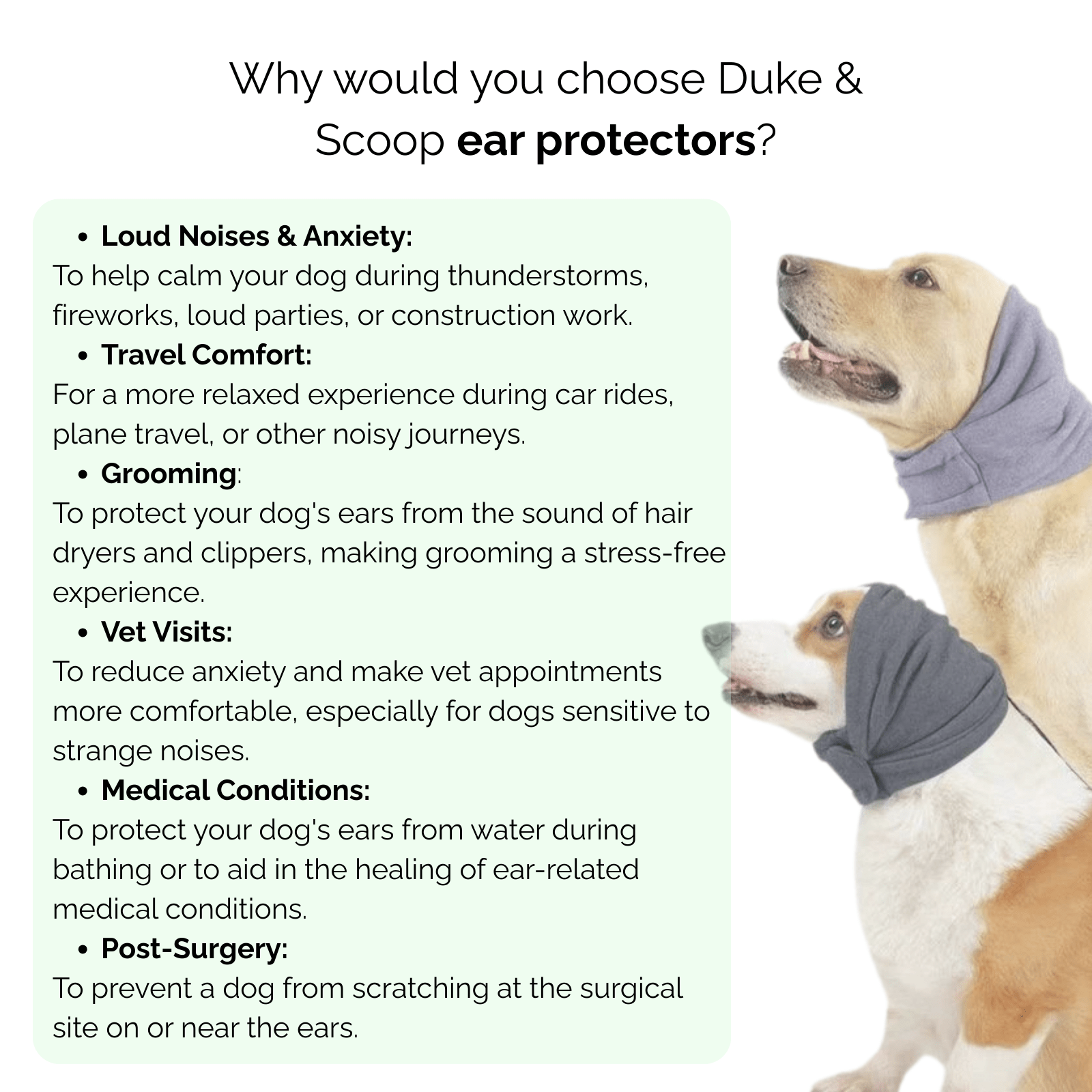 CalmCover Dog Ear Protection Headband