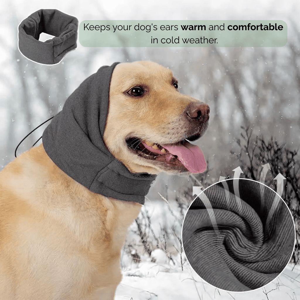 CalmCover Dog Ear Protection Headband