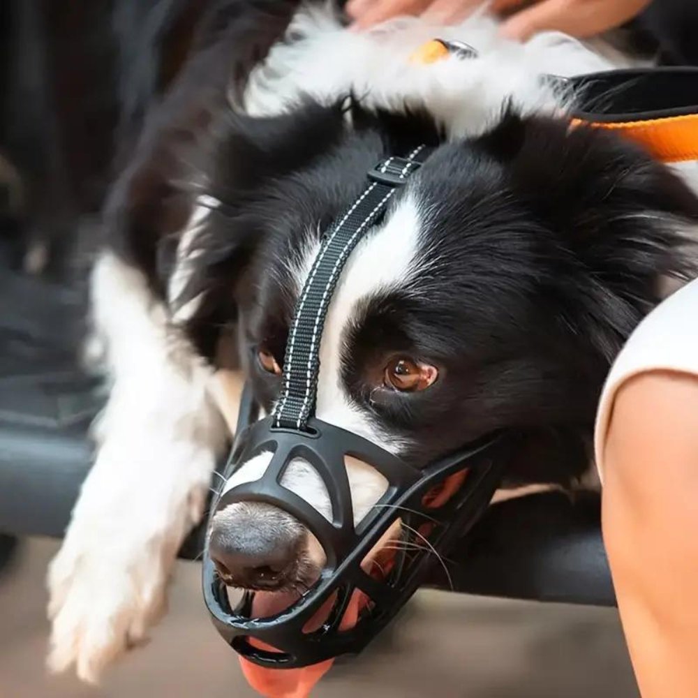 AirGuard Dog Muzzle - Breathable Adjustable Anti-Bite Mask