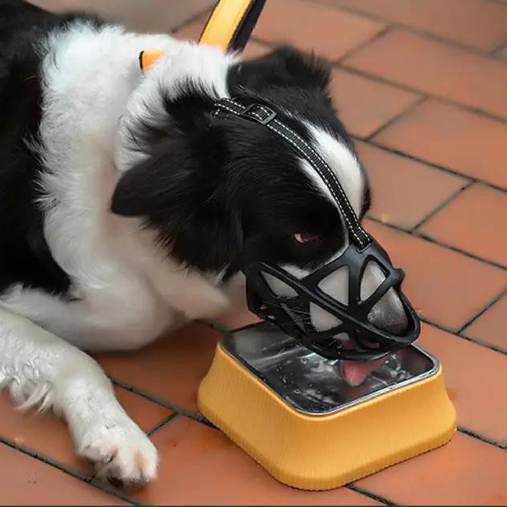 AirGuard Dog Muzzle - Breathable Adjustable Anti-Bite Mask