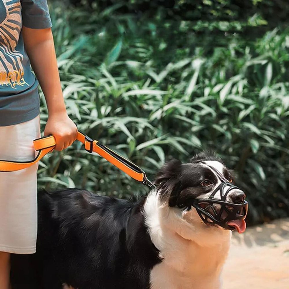 AirGuard Dog Muzzle - Breathable Adjustable Anti-Bite Mask