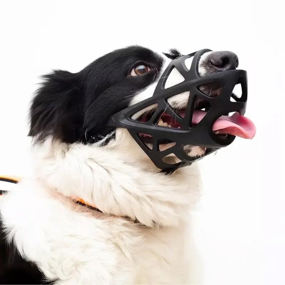 AirGuard Dog Muzzle - Breathable Adjustable Anti-Bite Mask