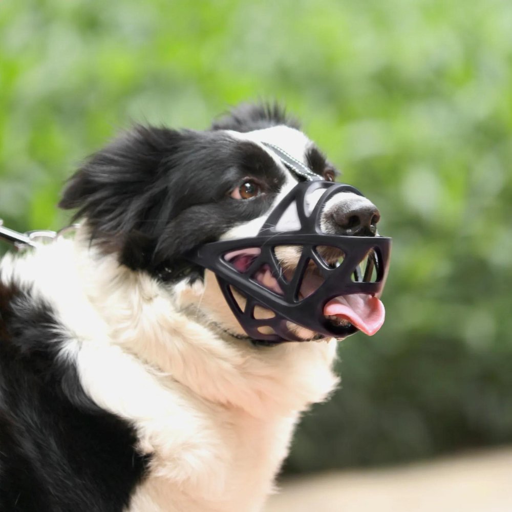 AirGuard Dog Muzzle - Breathable Adjustable Anti-Bite Mask