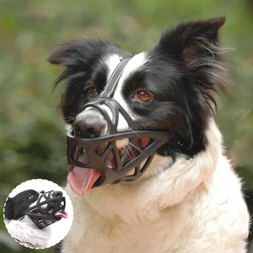 AirGuard Dog Muzzle - Breathable Adjustable Anti-Bite Mask