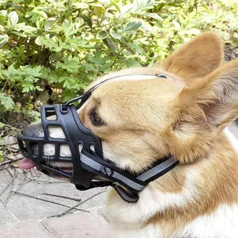 FlexGuard Mesh Dog Muzzle - Adjustable Breathable Pet Mask