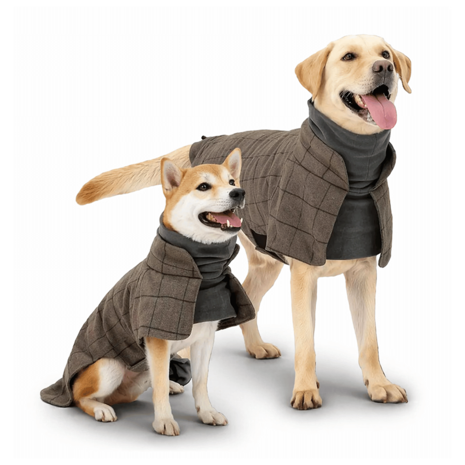 LondonLuxe Winter Dog Coat