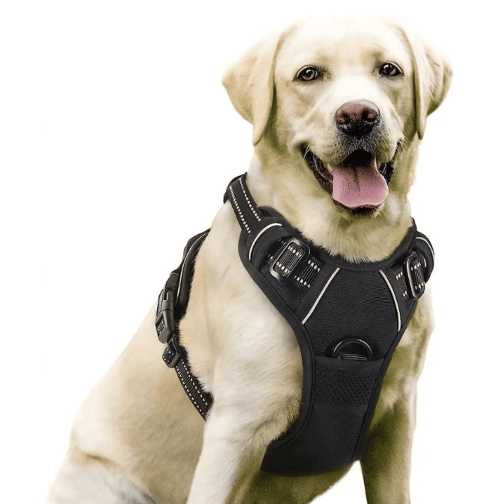 ControlFlex No Pull Dog Harness