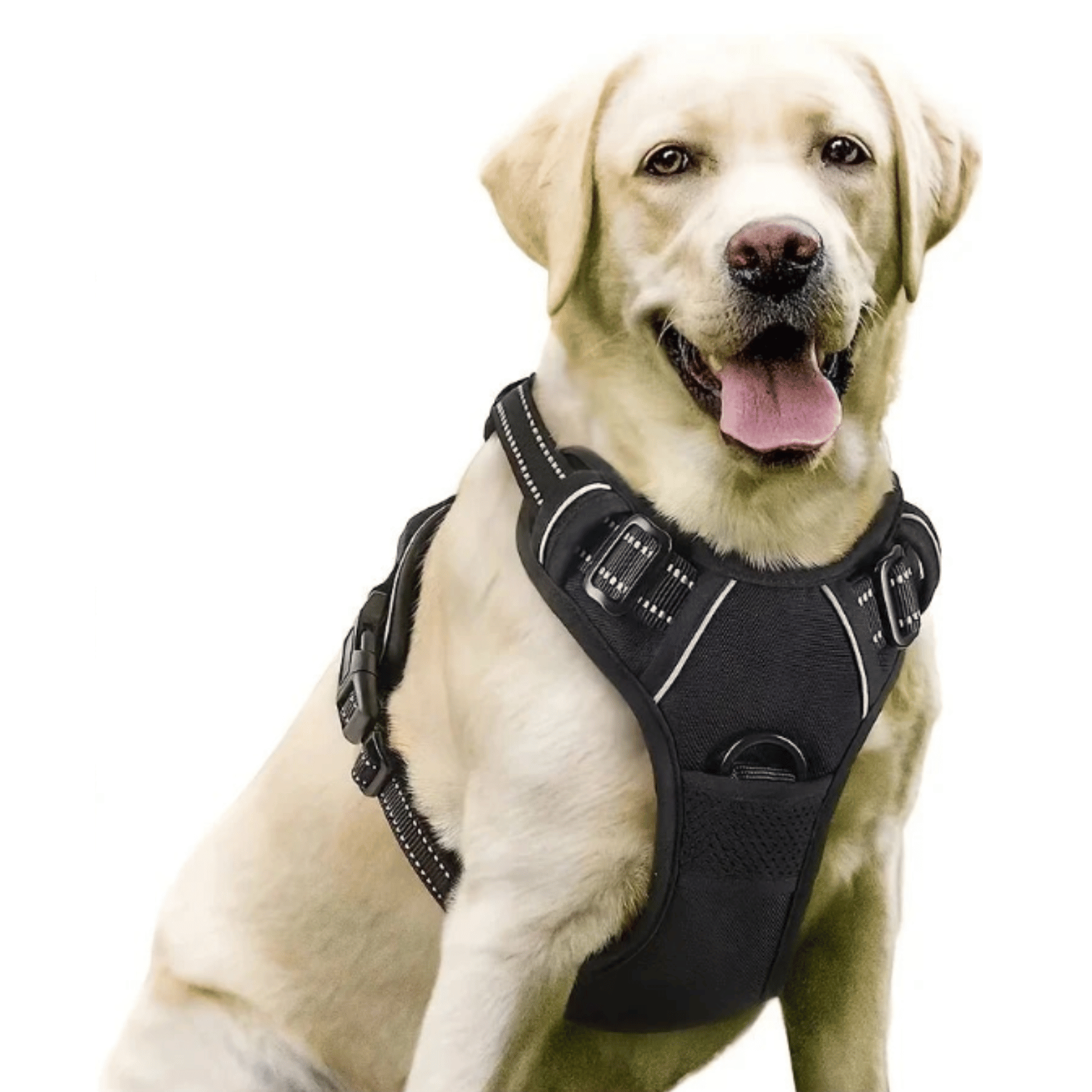 ControlFlex No Pull Dog Harness