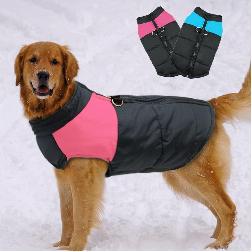 StormShield Waterproof Dog Coat with Leash Ring