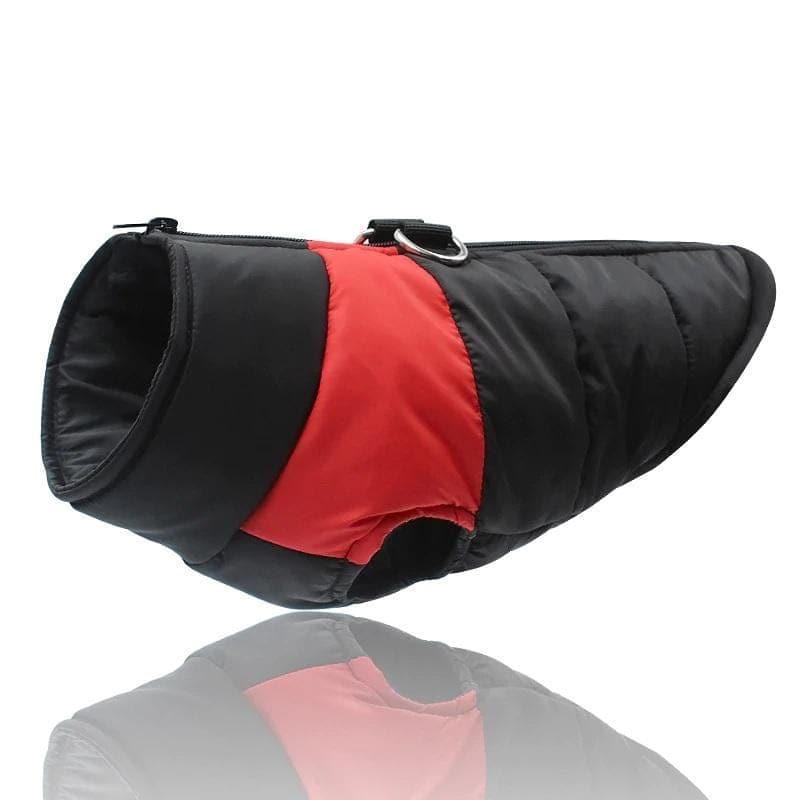 StormShield Waterproof Dog Coat with Leash Ring