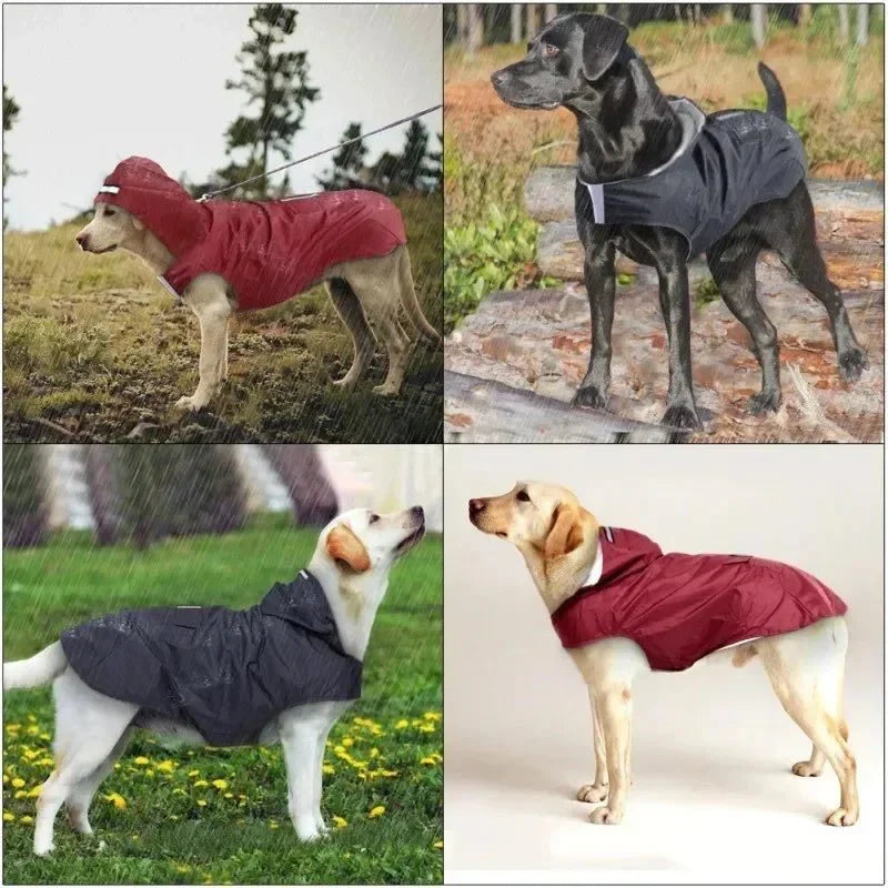 RainGuard Waterproof Dog Raincoat