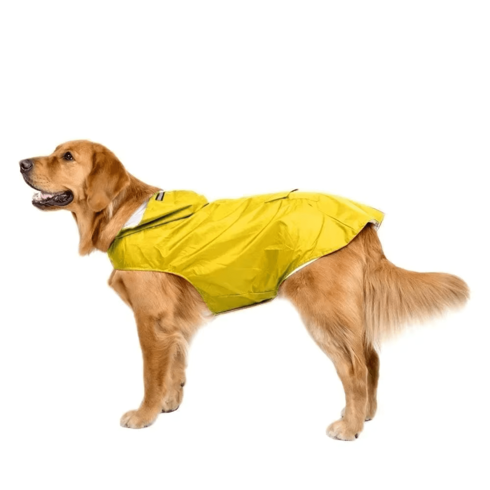 RainGuard Waterproof Dog Raincoat