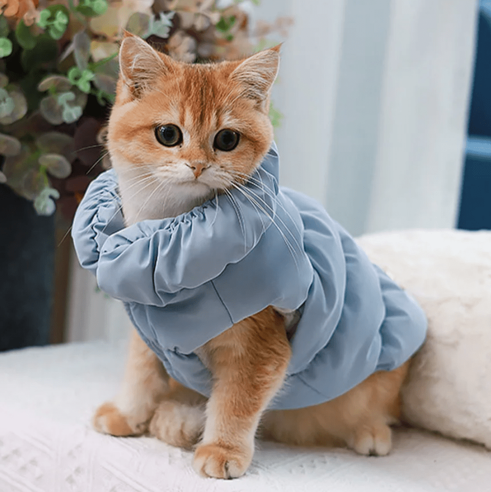 CozyTail Winter Pet Jacket