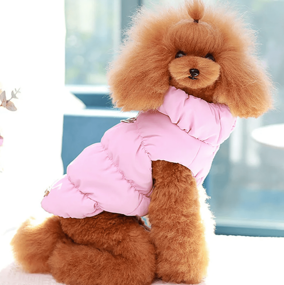 CozyTail Winter Pet Jacket