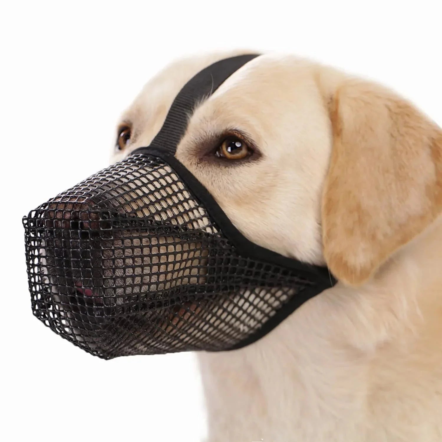 FlexGuard Breathable Dog Muzzle